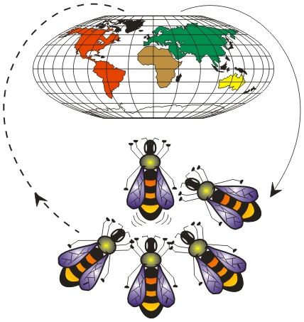 Apiculture - Beekeepin - Apicultura - Imkerei - Apiservices
